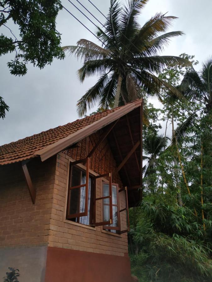 Cinnamon Village Sinharaja デニヤヤ エクステリア 写真