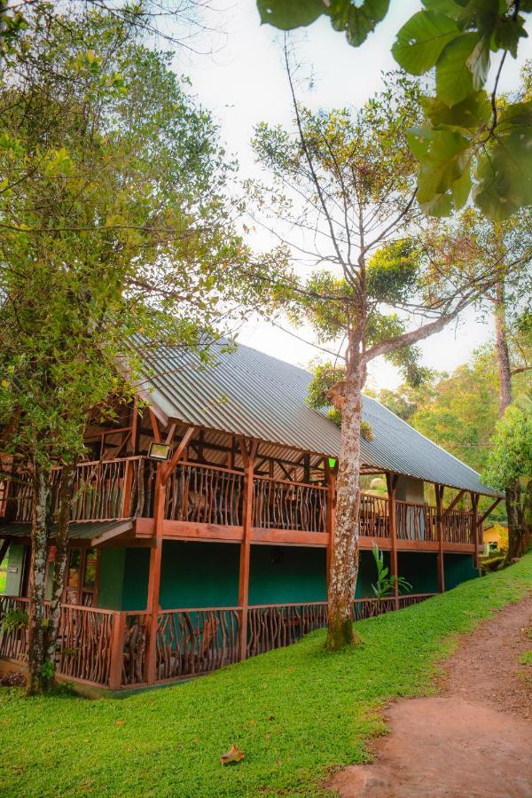Cinnamon Village Sinharaja デニヤヤ エクステリア 写真
