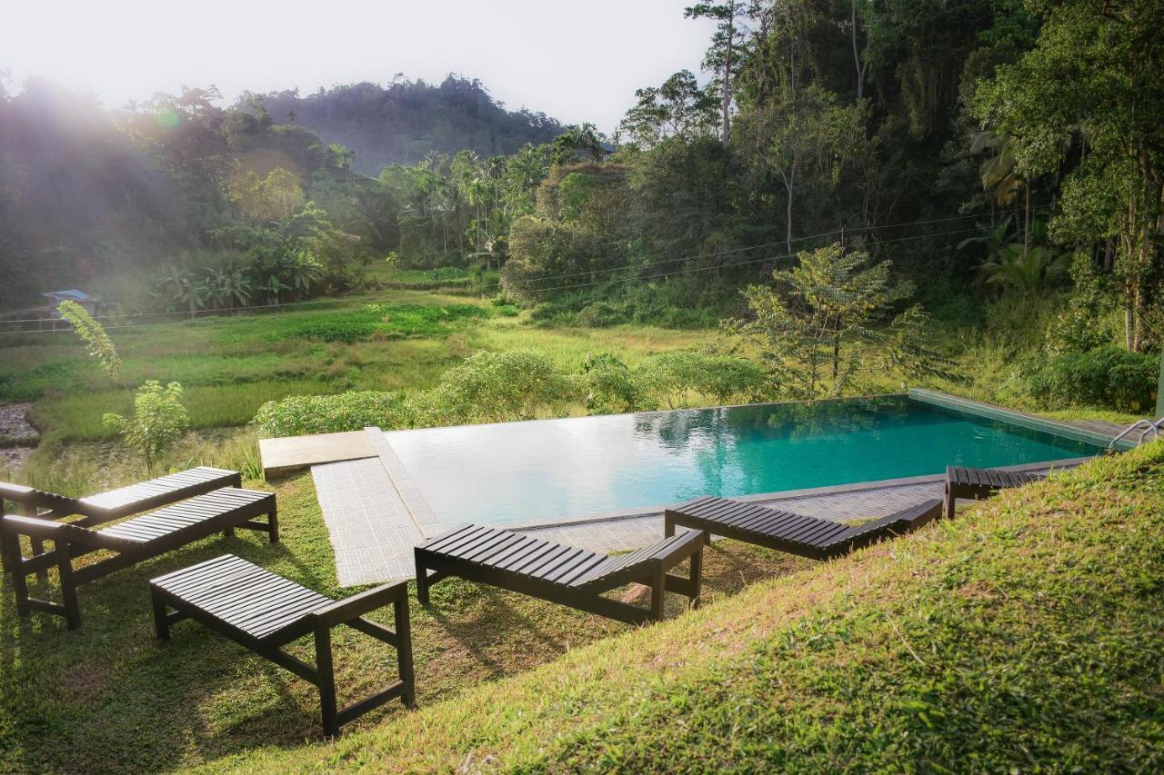 Cinnamon Village Sinharaja デニヤヤ エクステリア 写真
