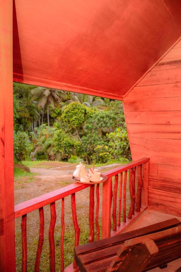 Cinnamon Village Sinharaja デニヤヤ エクステリア 写真