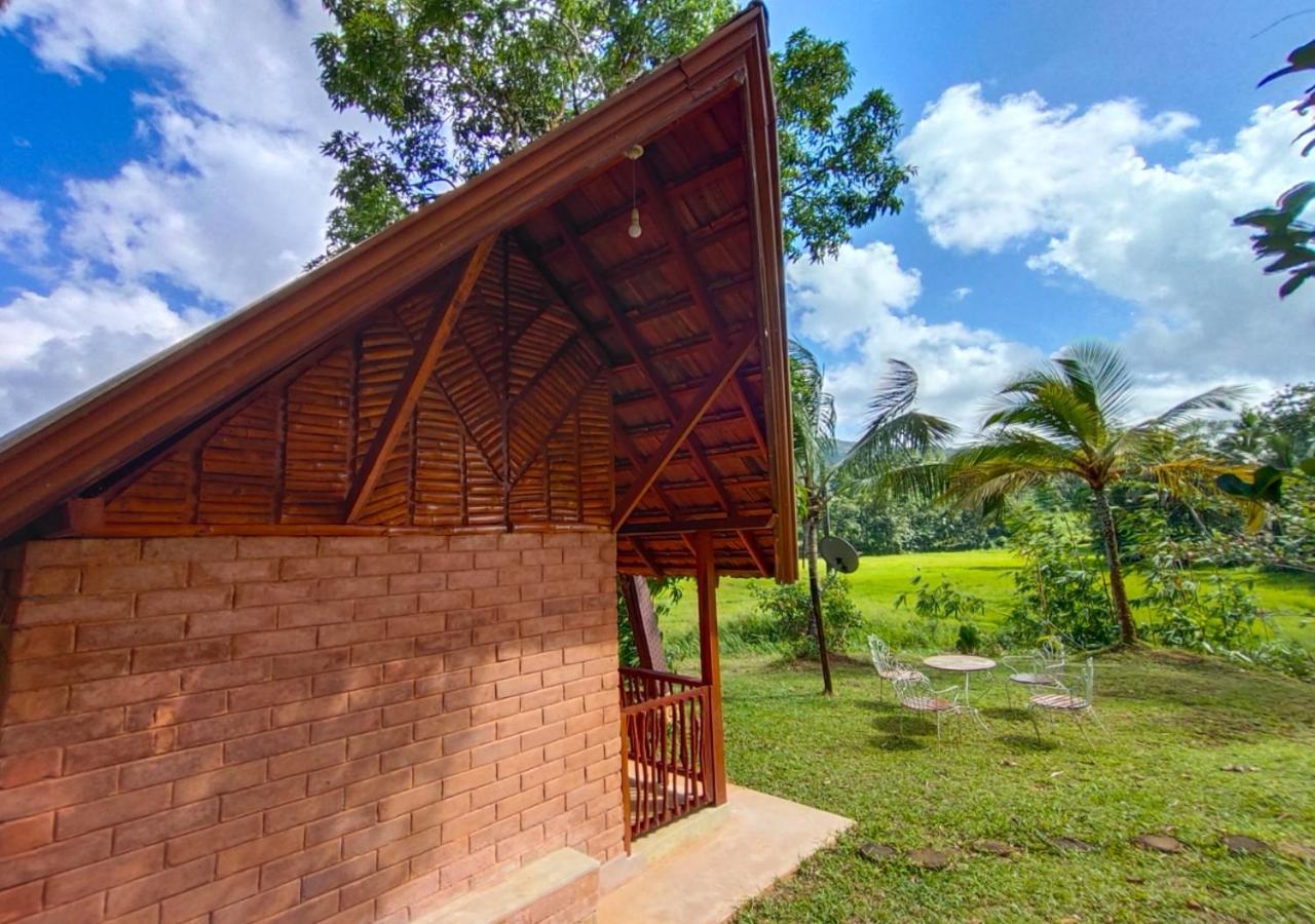 Cinnamon Village Sinharaja デニヤヤ エクステリア 写真