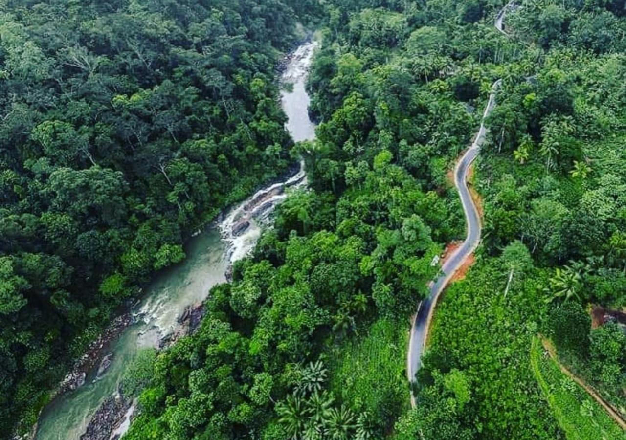 Cinnamon Village Sinharaja デニヤヤ エクステリア 写真