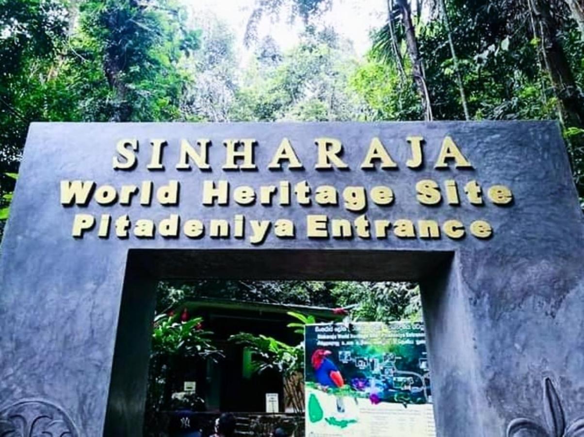 Cinnamon Village Sinharaja デニヤヤ エクステリア 写真