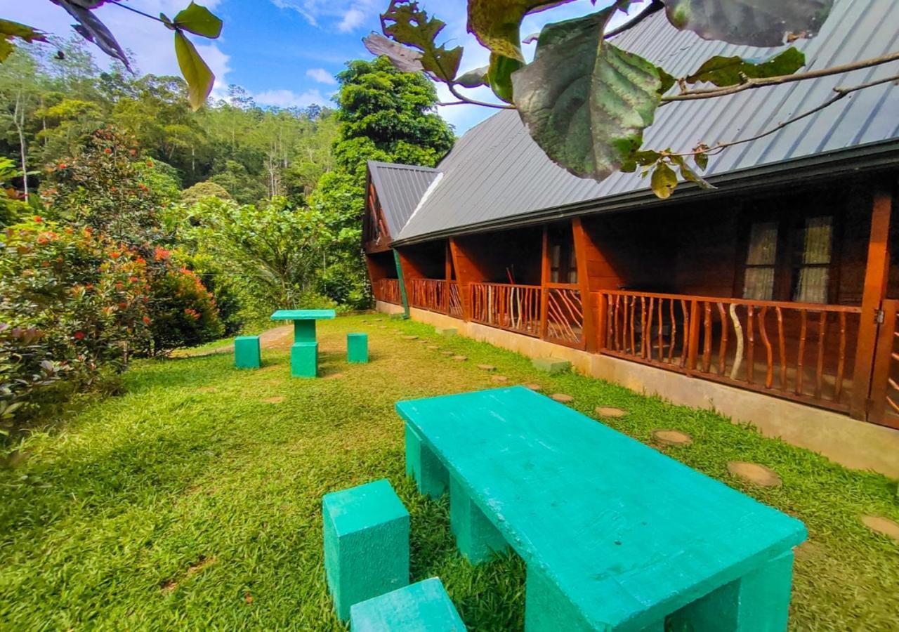 Cinnamon Village Sinharaja デニヤヤ エクステリア 写真