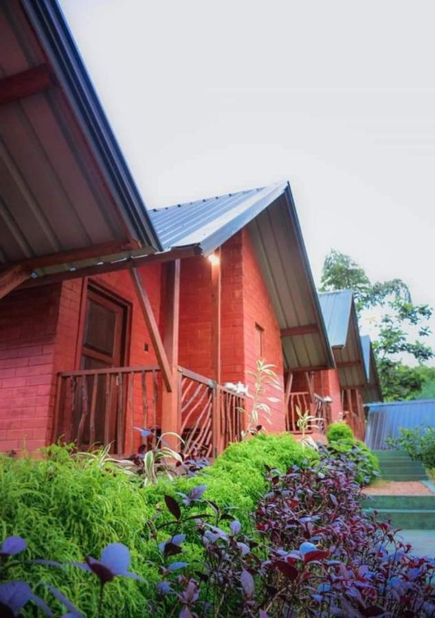 Cinnamon Village Sinharaja デニヤヤ エクステリア 写真