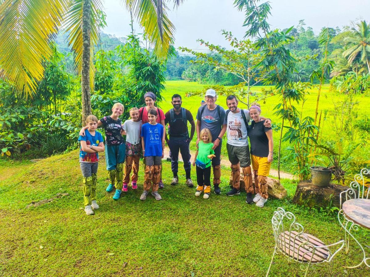 Cinnamon Village Sinharaja デニヤヤ エクステリア 写真