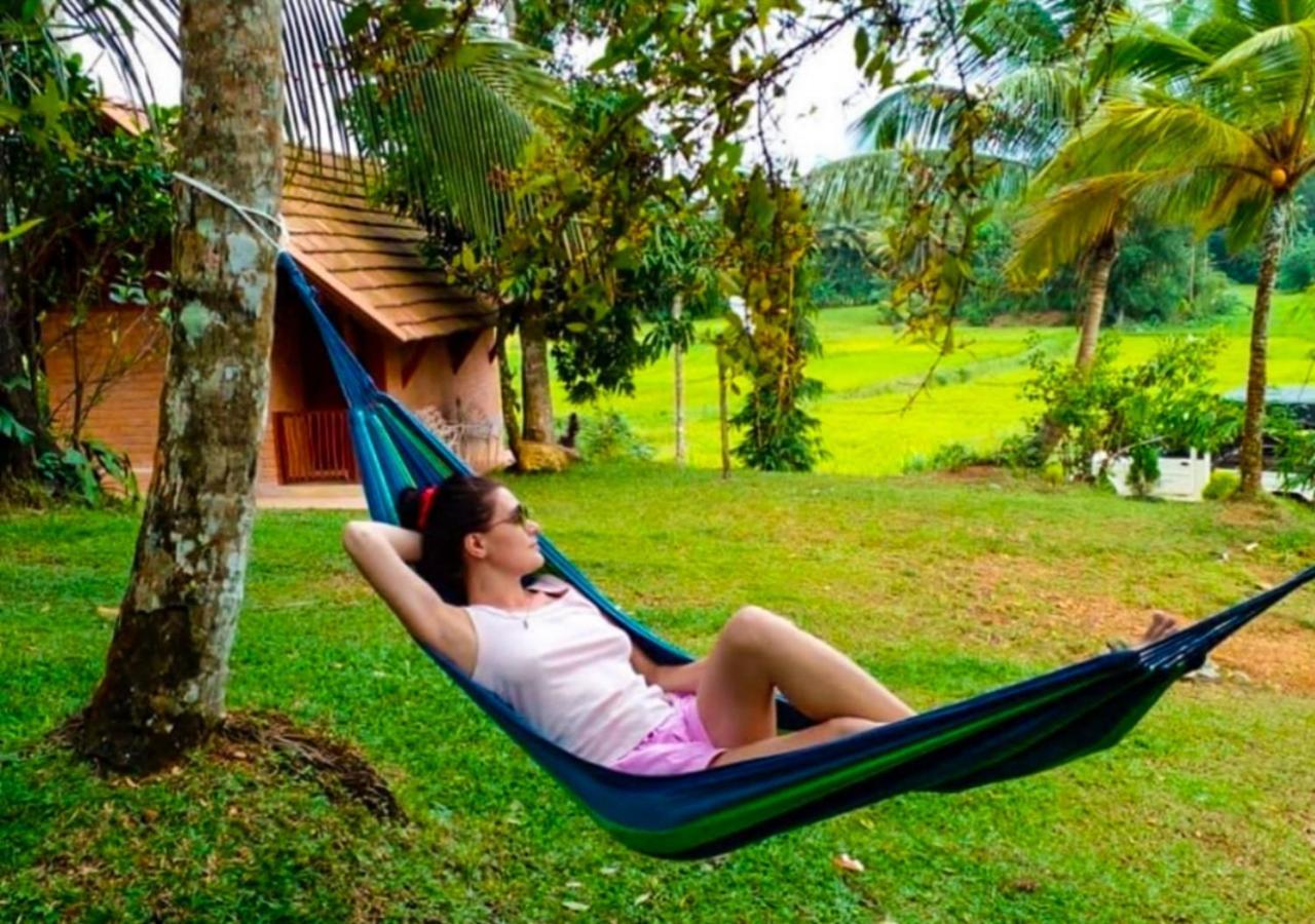 Cinnamon Village Sinharaja デニヤヤ エクステリア 写真