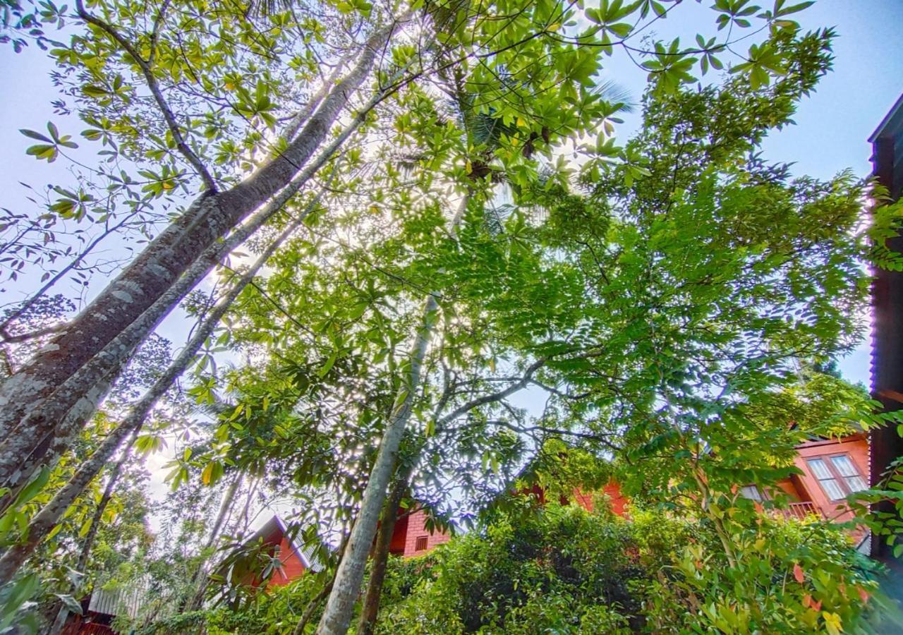 Cinnamon Village Sinharaja デニヤヤ エクステリア 写真