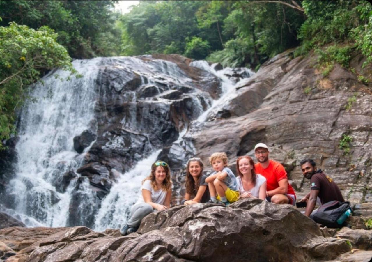 Cinnamon Village Sinharaja デニヤヤ エクステリア 写真