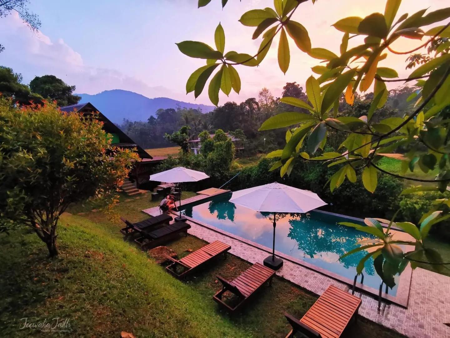 Cinnamon Village Sinharaja デニヤヤ エクステリア 写真