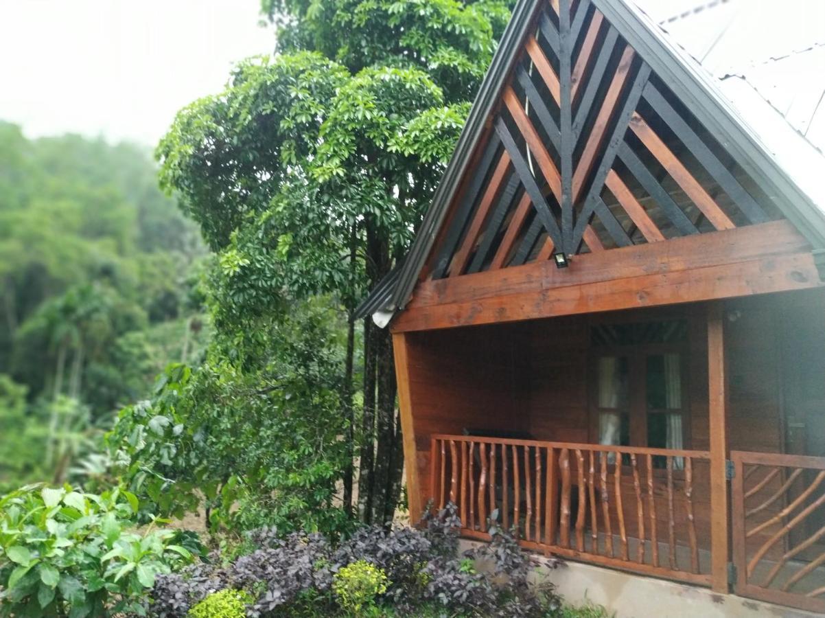 Cinnamon Village Sinharaja デニヤヤ エクステリア 写真