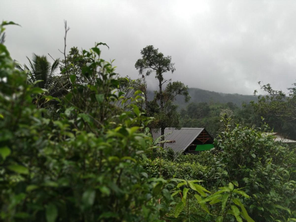 Cinnamon Village Sinharaja デニヤヤ エクステリア 写真